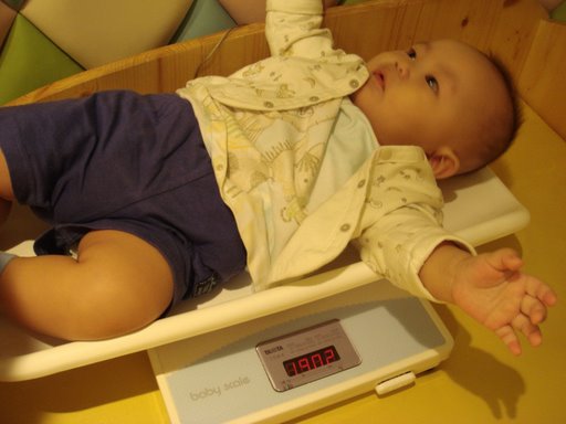 [2008-10-05+12[1].03.38+SONY+DSC-T50+DSC05587.JPG]